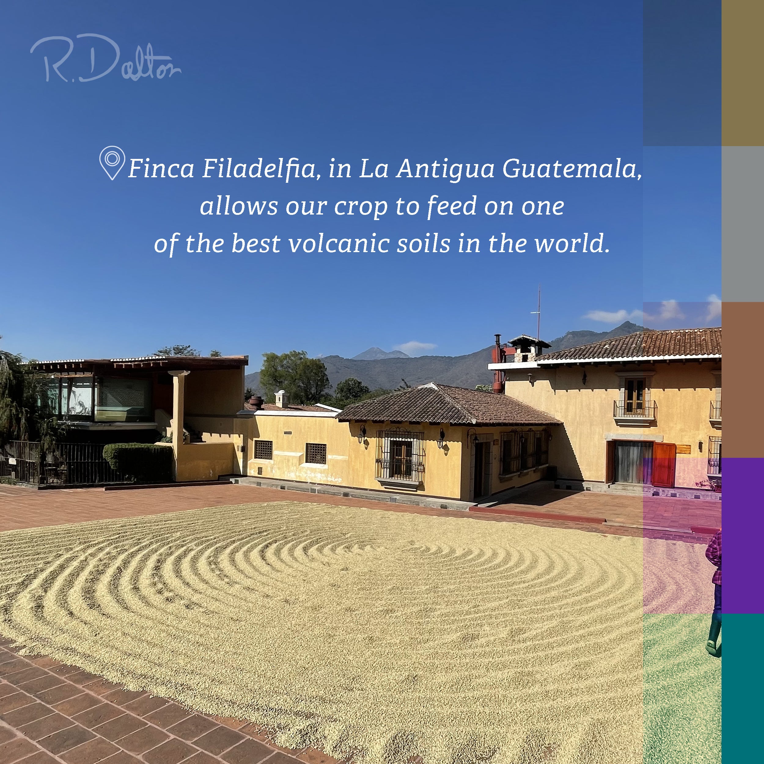 1.2) R. Dalton Coffee Sublime Genuine Antigua – Box of 6 Bags (340g Each)