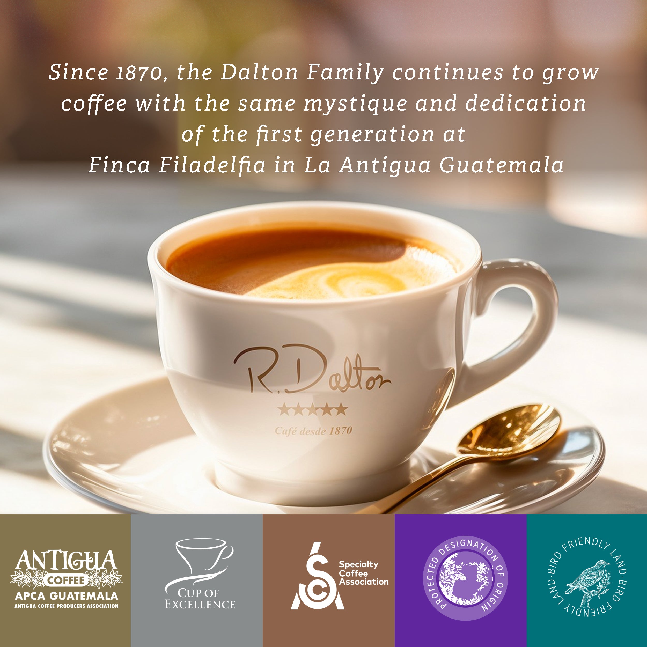 1.2) R. Dalton Coffee Sublime Genuine Antigua – Box of 6 Bags (340g Each)