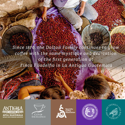 3) R. Dalton Coffee Intenso House Blend Coffee – Box of 6 Bags (340g Each)